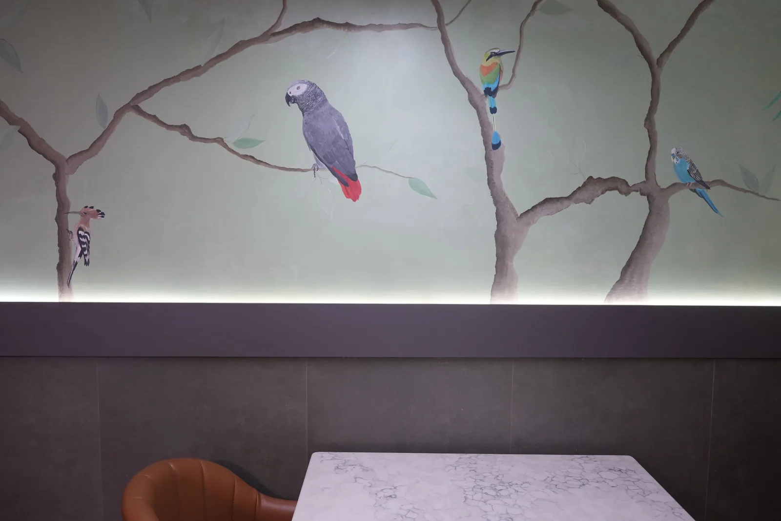 A painted African grey parrot with a red tail, on a branch under the cove lighting