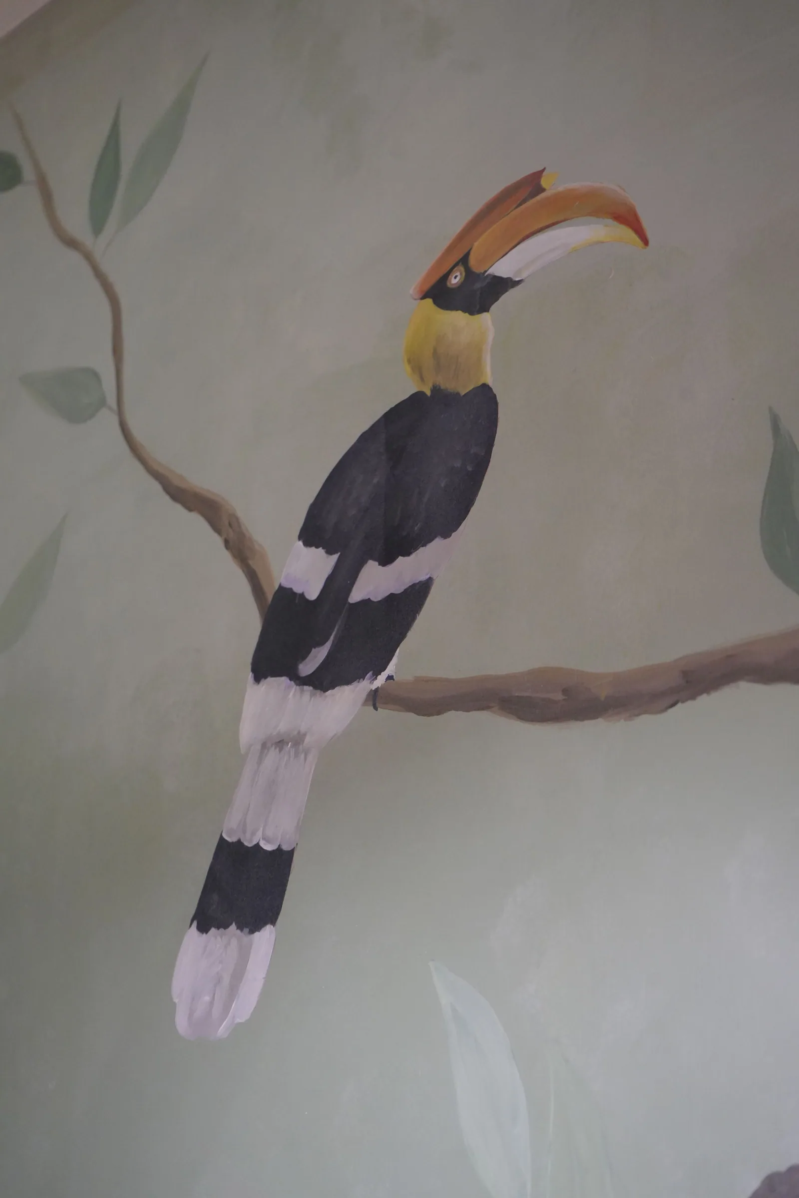 A painted great hornbill with a yellow casque, perched on a branch