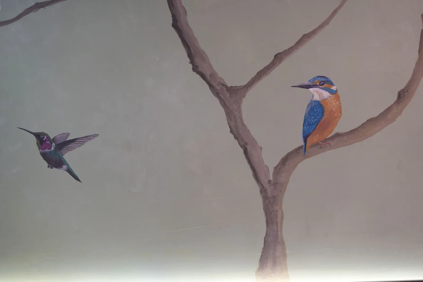 A painted kingfisher in blue and orange on a branch, with a hummingbird hovering nearby
