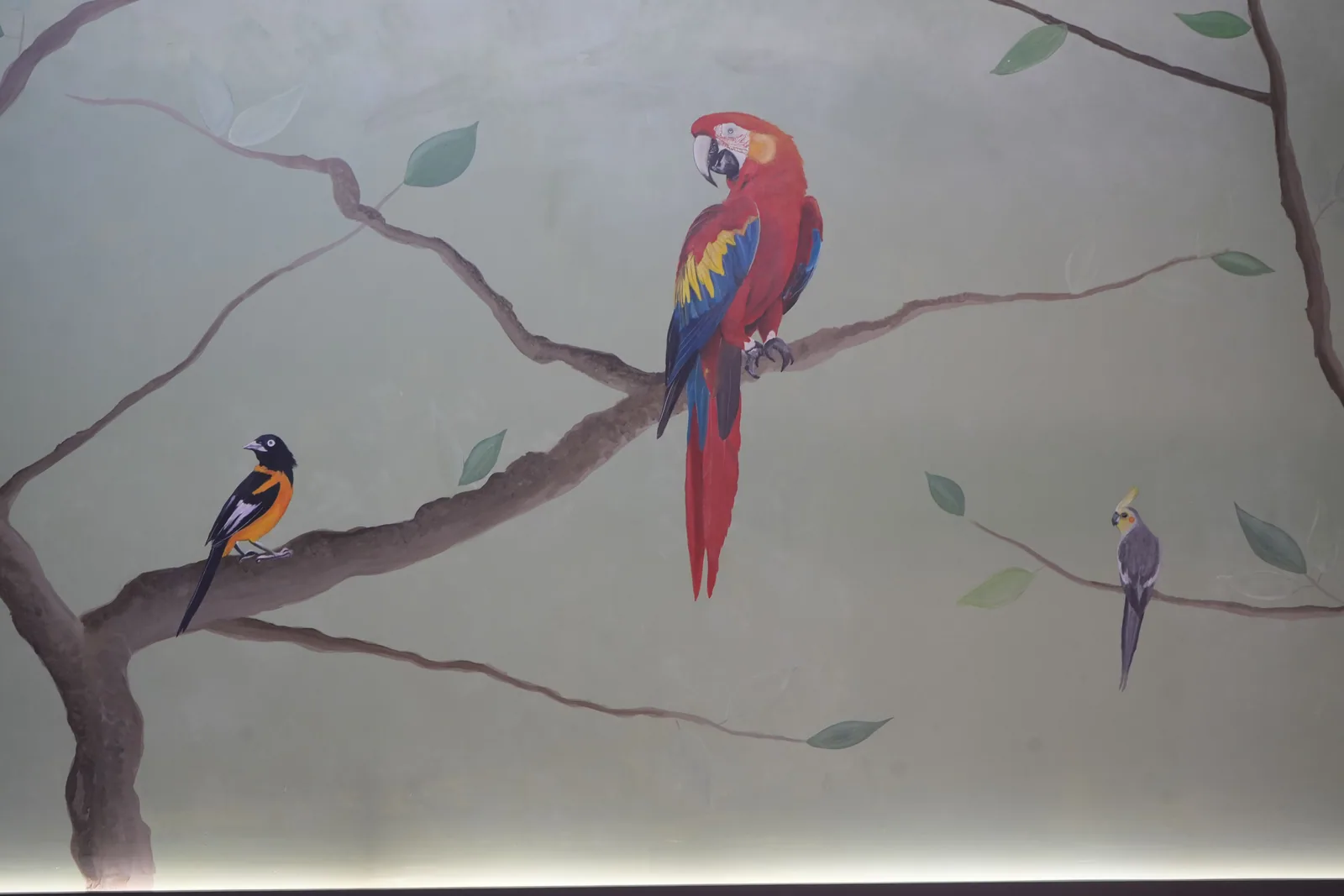 A painted scarlet macaw on a branch, with an oriole below it and a cockatiel to the right