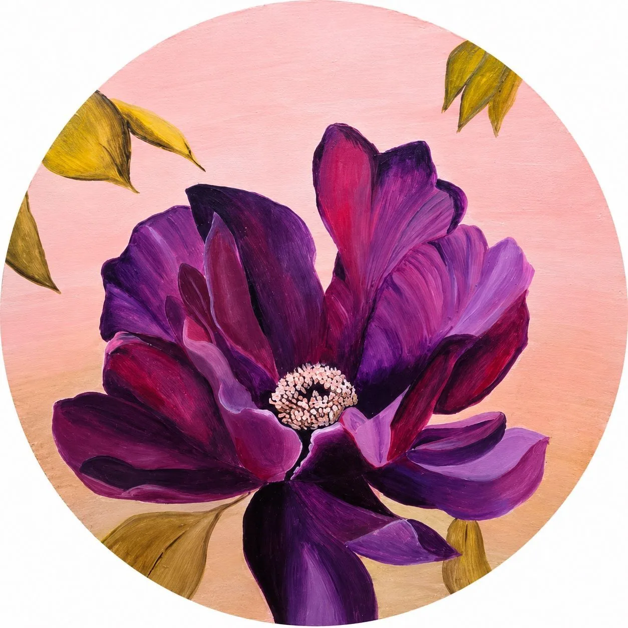 Circular painting of a large deep purple magnolia bloom on a blush ground