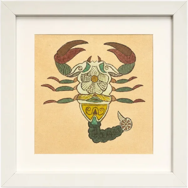 A scorpion with a patterned body and curled tail, claws spread, on a pale cream ground